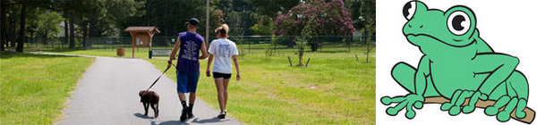 summerbanner 2